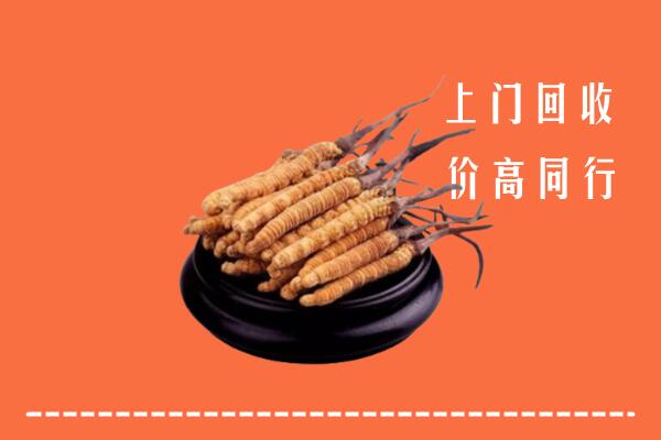 高价求购：常山县回收散虫草