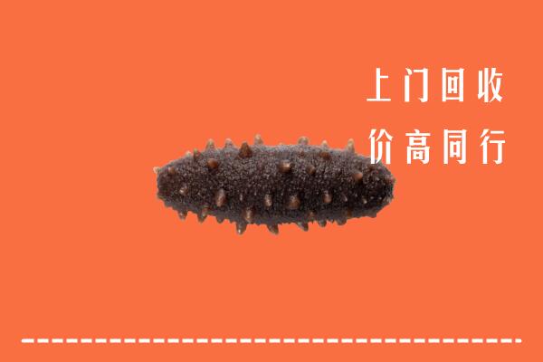 高价求购：常山县回收海参