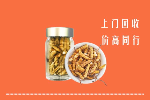 常山县回收冬虫夏草